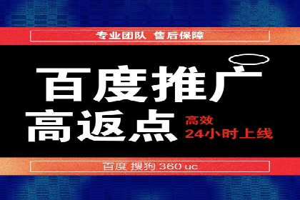 竞价SEM托管案例：精准营销的利器
